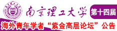 大鸡巴插插骚穴视频南京理工大学第十四届海外青年学者紫金论坛诚邀海内外英才！